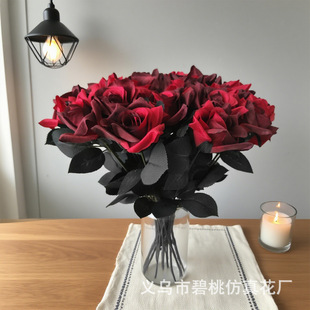 �羳���N�����ɫõ�廨 �f�}�������b�� �ٻ������L�ڰ�ϵ�л���