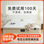 积象床垫家用五星级酒店民宿公寓别墅独立袋弹簧超软乳胶席梦思