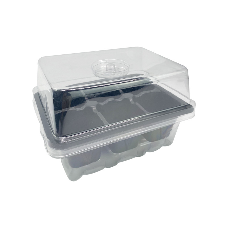 6 홀 모종 트레이 투명