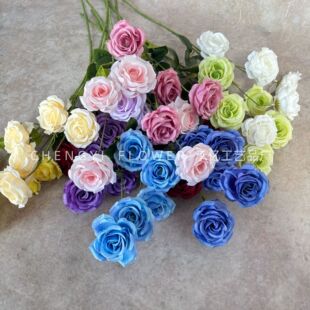 ����5�^�Aõ���ᭇ�ٻ���c�ø߼����ֹ���ˇ��Y���쾰���Ż�