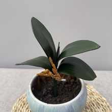 3D���滨�����m���^  ��ӡ�zƬ�ػ��L�η���ֶYDIY�Y�л�Y�b�