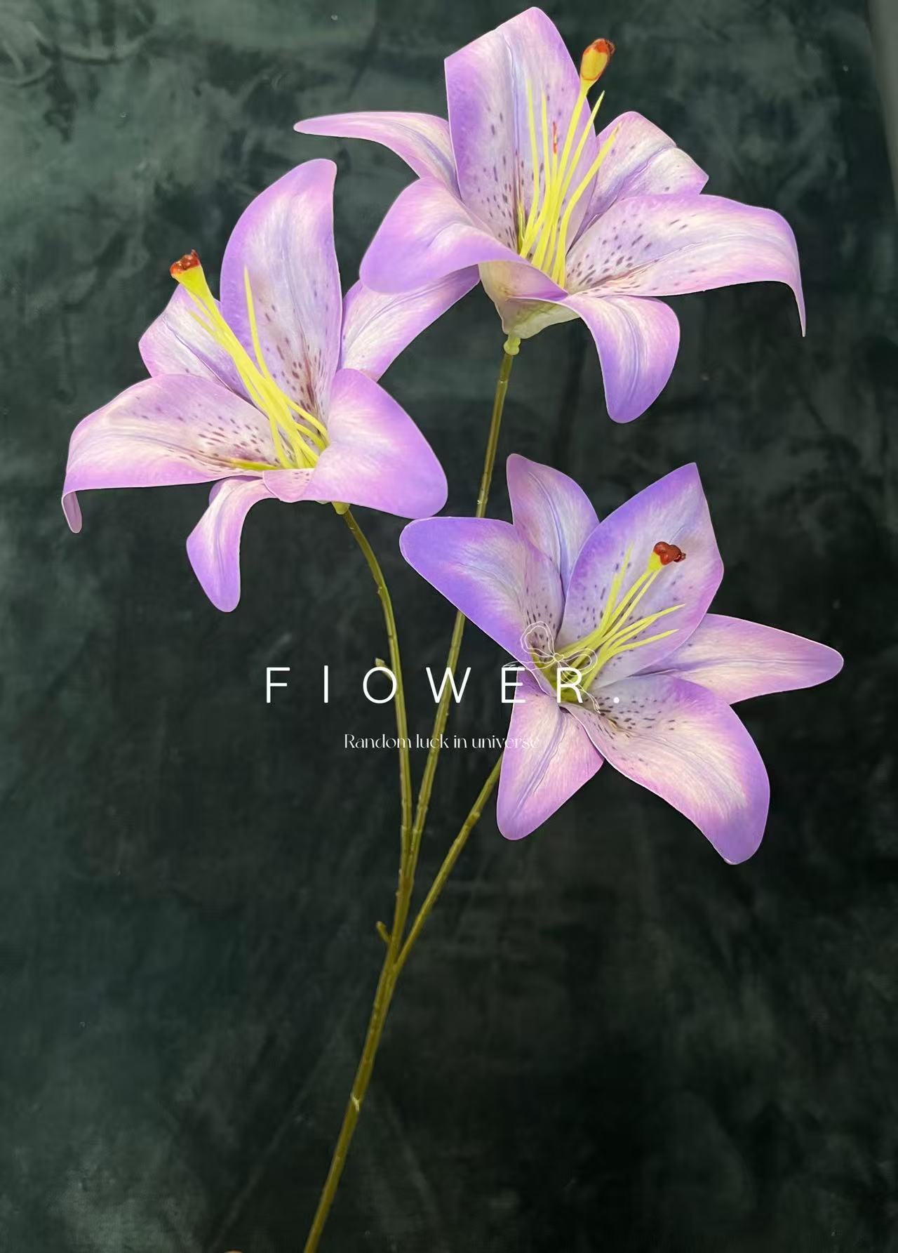 微信图片_20250414103508