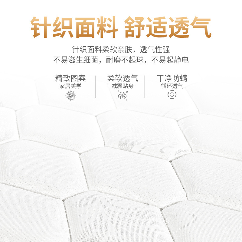 乳膠彈簧床墊棕墊家用1.5m1.8米公寓民宿椰棕軟硬兩用床墊