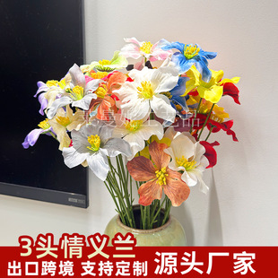3�^���x�m���滨�Ҿӿ͏d�����廨�[���鷿���ÔzӰ�쾰��ˇ�ٻ�