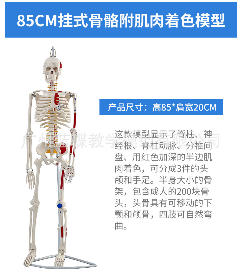 详情_12