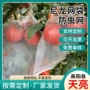 定制果蝇瓜果尼龙网袋