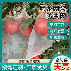 厂家定制尼龙网袋多种规格定制防虫网瓜果蔬菜防果蝇腊肉防虫网袋