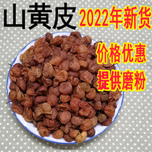 ɽ�SƤ�V���ɟo�������خaɳ�S�����{���ݽz�����l