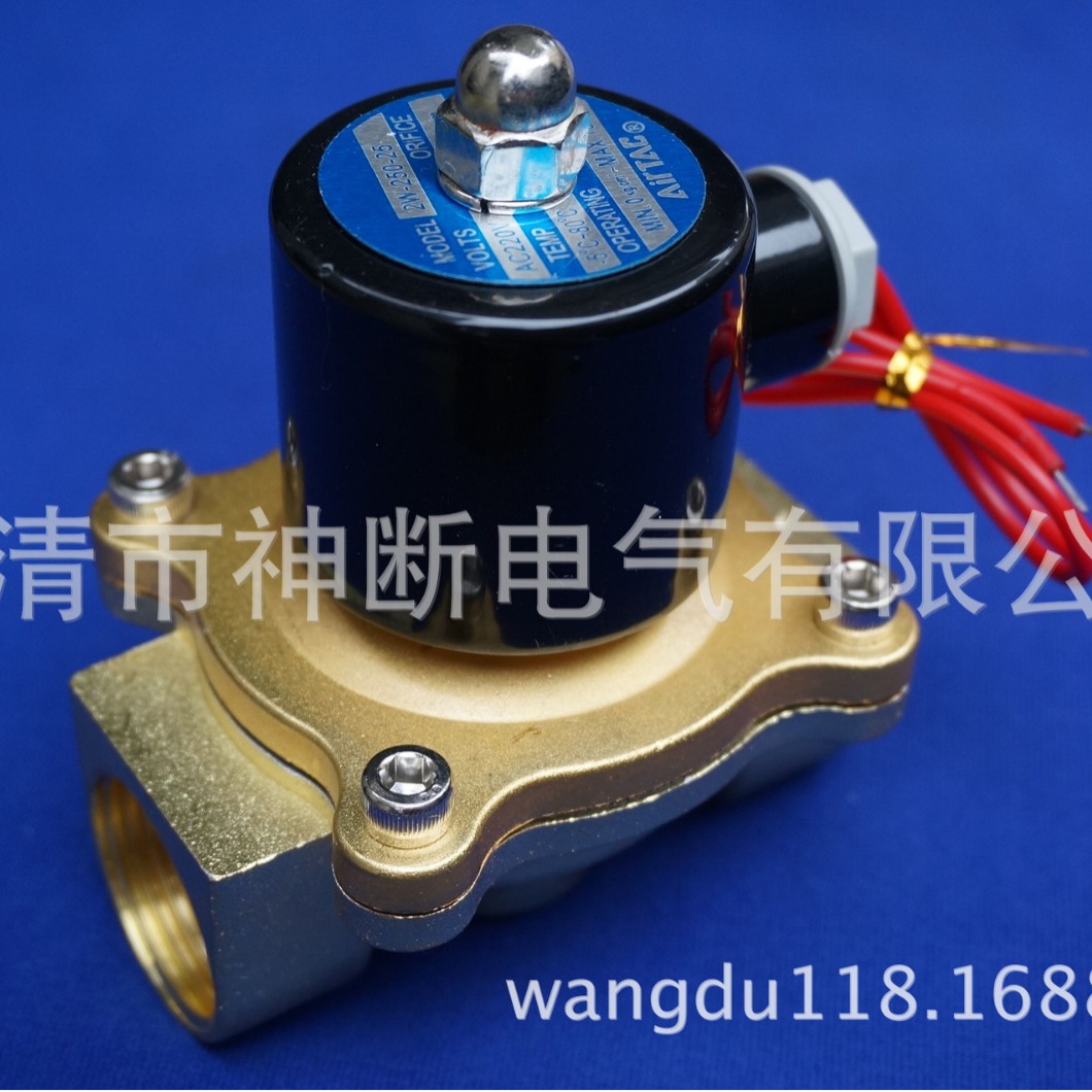 【批发】2W-250-25/AC220V电磁阀