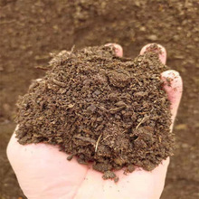 兔子粪养花肥料菜肥花肥基肥蔬菜用温和肥效增加有机质兔粪有机肥