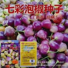 �߲��ݽ��N�������N�ӏV���ݽ�������ʽ��ļ��߲˷N�Ӵ�ȫ�����l