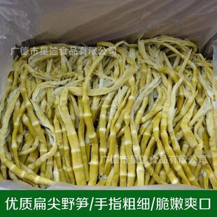 ����X�����S�����خa�}�n�S��؛����S�̹S���]�������S���b