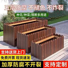 ����ľ̼���L���λ��仨���������NֲͥԺ�N���̨��ľ���仨��