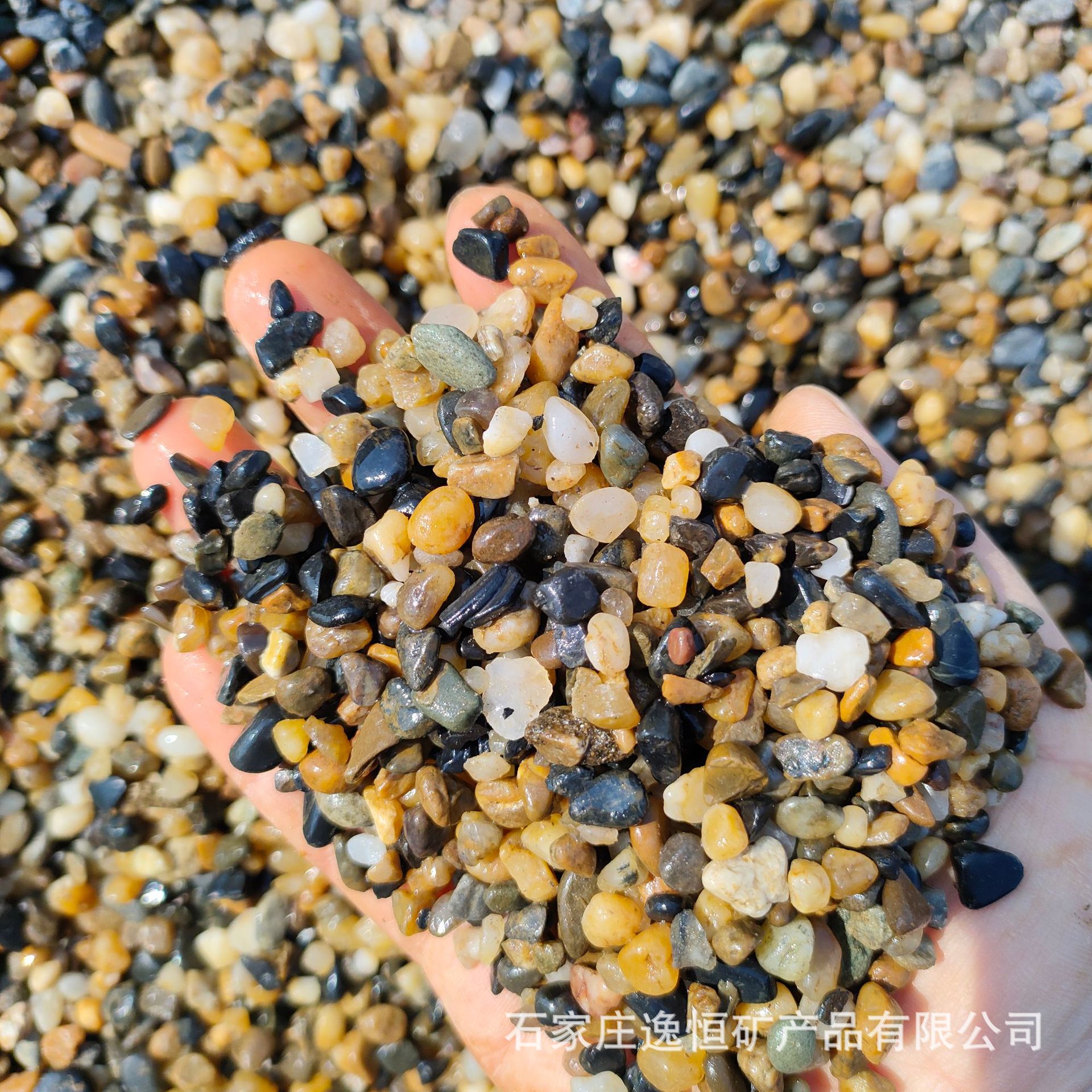 豆石滤料地暖回填汗蒸房小鹅卵石鱼缸造景底砂铺路小石子卵石厂家
