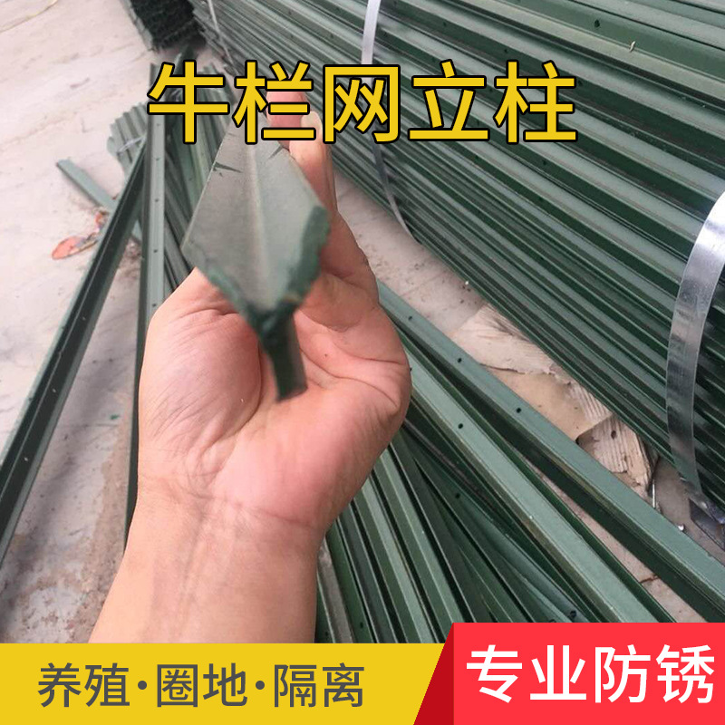 Steel Wire Mesh Fence Post, Cast Iron Triangular Solid Column with Pointed Tip, Thickened for Cattle and Sheep Outdoor Fencing
