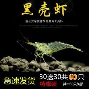 �ښ��r��ˮ�����r���]�^�p�r�����r�坍�r���w�r�����ˮ�����~��