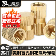 Ӣ�ƝL�������~��ĸע��ä���~��ñ��ʽ��Ƕ�A���ݽz��ĸ���l1/4