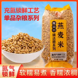 新货燕麦米山东农家自种今年燕麦米燕麦仁全胚芽五谷杂粮早餐粗粮