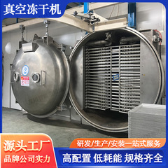 商用100平冷凍乾燥機ペット食品冷凍乾燥設備果物野菜脆い果物冷凍乾燥機の回復性が良い