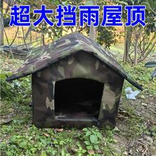 ؈CCﶬůӺɲϴ؈ӷѩCļͨ