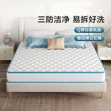 Ҭ�ش��|Ҭ�����z�S���؉|���z�����|20cm�Ҿ��������҃�ͯ