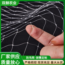 �ڰ��������B�W ���@����ͥԺ���ѹ���r�B���o�� �Bֳ�W�~����W