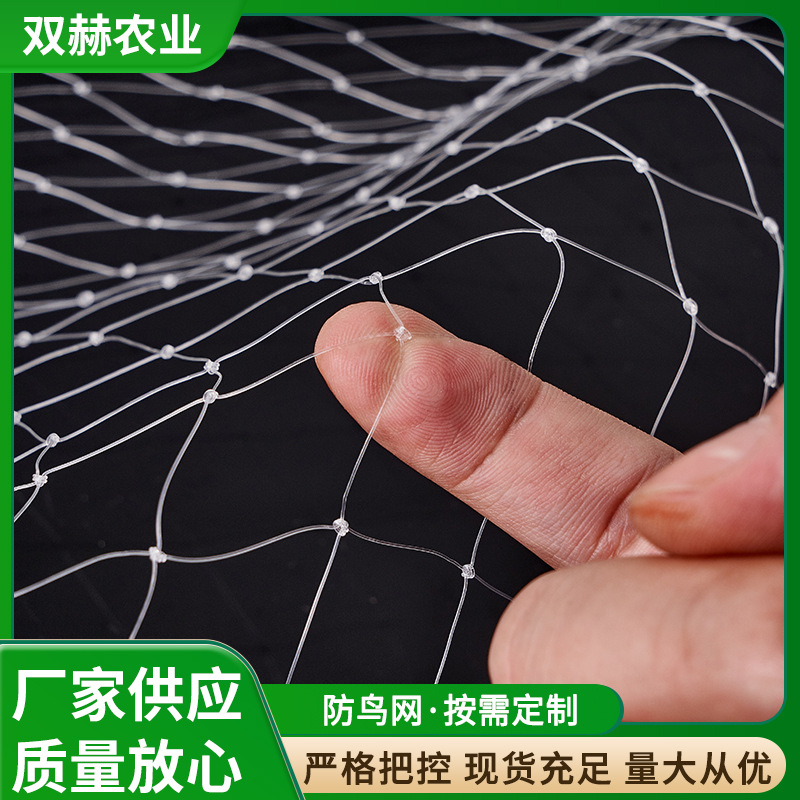 黑白尼龙防鸟网 花园池塘庭院葡萄果树拦鸟保护罩 养殖网鱼塘天网