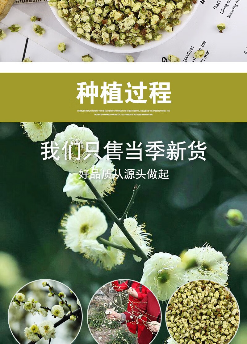 White Plum Flower Tea Mei Hua 绿萼梅 Dried Green Calyx Plum Buds 500g Traditional Floral Herbal Tea key features