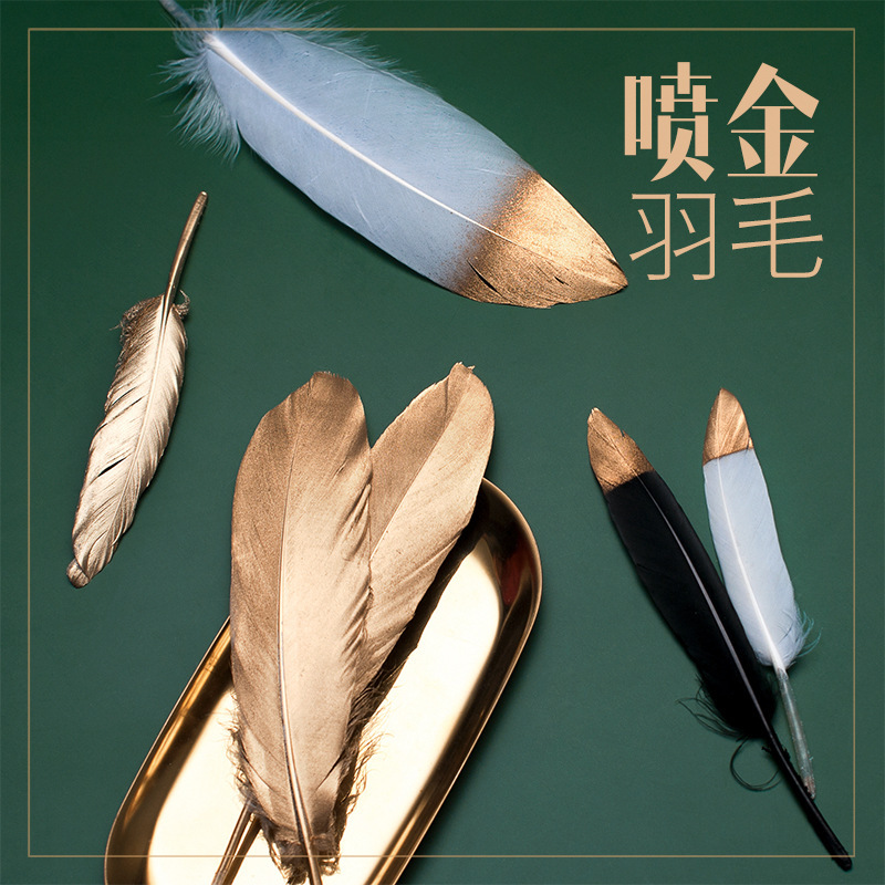 Golden feather photo props, ins accessories, jewelry, cosmetics, decorative ornaments, background