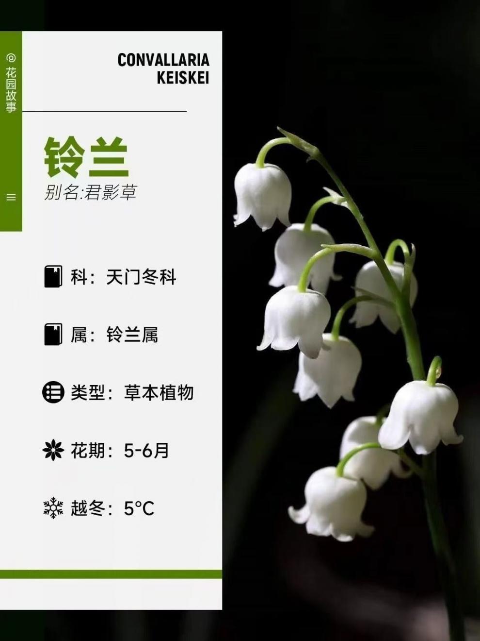 7698ec5a-d7c9-4623-8784-2ea0aebf47a8.jpe