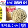 高温阻燃耐温稳定pa6t