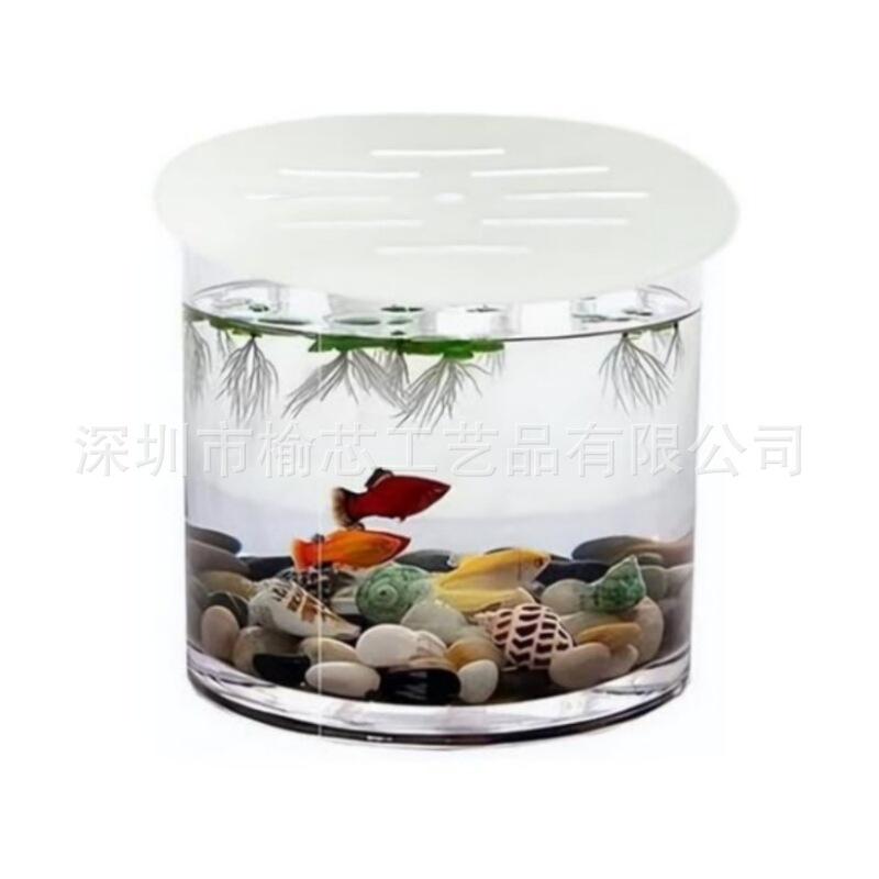 Acrylic Aquarium Anti-Jump Cover with Holes to Prevent Fish/Reptiles/Shrimp/Turtles from Jumping Out of the Tank Acrylic Aquarium Anti-Jump Cover with Holes to Prevent Fish/Reptiles/Shrimp/Turtles from Jumping Out of the Tank