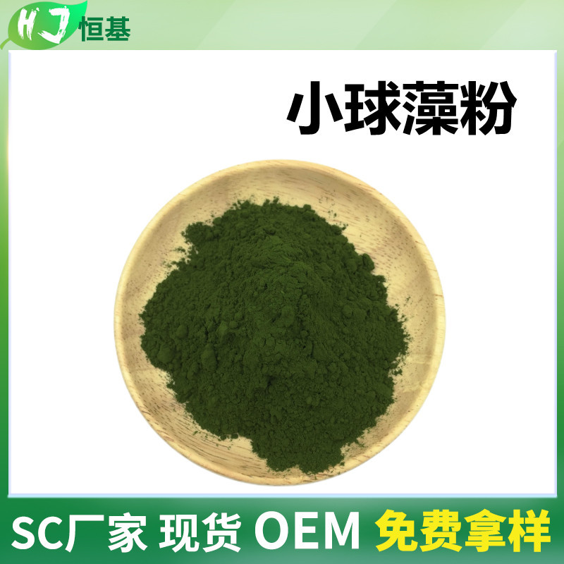 小球藻粉 99% 破壁小球藻粉 1㎏装 蛋白核 小球藻提取物 绿藻粉
