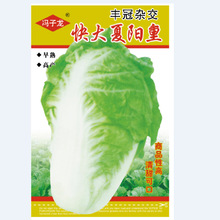 �T�����߲˷N���S���s��������������P��Ʒ�Ը�����ɿ�