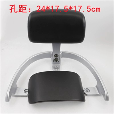 rear backrest assembly, seat | Electric car rear backrest - tail-wing-27-backrest-matte-black-default-item