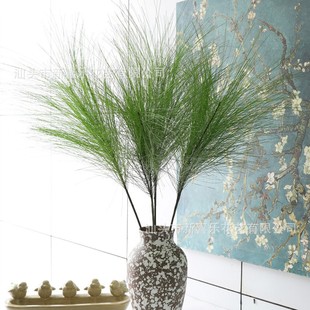 �S�����l����Gֲ��֦3���Rβ�� ɭϵ�Gֲ�Ҿ��b���Ĳ��쾰����