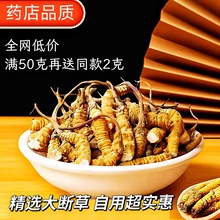 冬虫夏草自己吃大断草断虫草那曲甄选纯肉节断中药材保健诚招