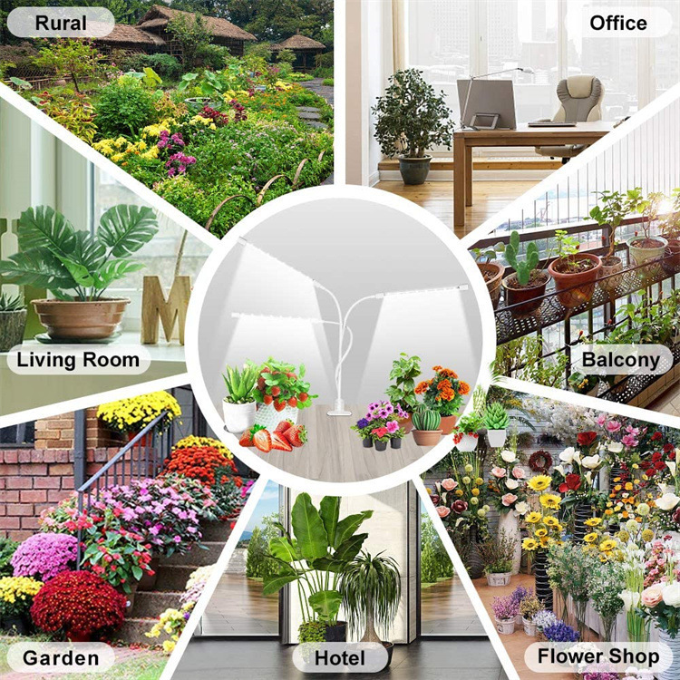 純白led植物灯6000k白色多肉補光灯は室内植物補光を適用する|undefined