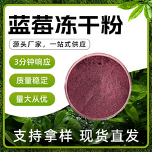 蓝莓冻干粉 紫色粉末 易溶于水 蓝莓果香 干燥避光储存 现货批