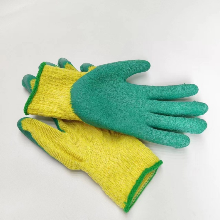 IMG_0229(20231026-163109)