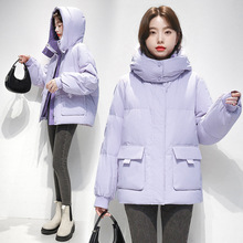 2025���b�¿���q�޷�Ůʿ�Bñ�̿�Ӻ������\�������������Ů