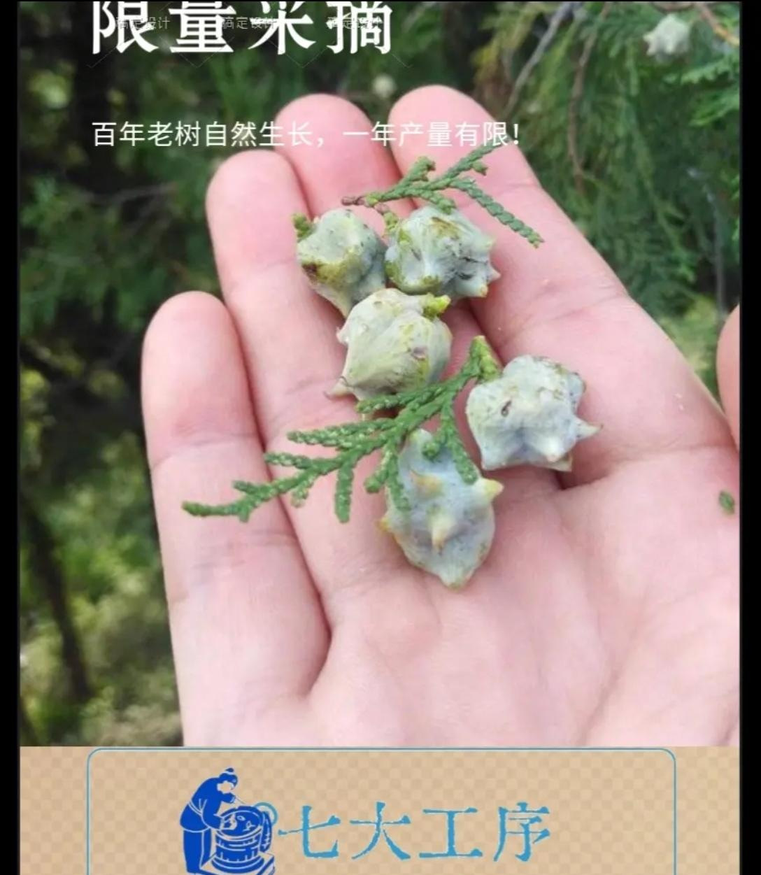 Taixing Dağı selvi tohumu kabuğu kare yastık, selvi tohumu kabuğu yastığı, saf bitki yastık çekirdeği, yabani selvi kabuğu, kaba kumaş servikal omurga yastığı.