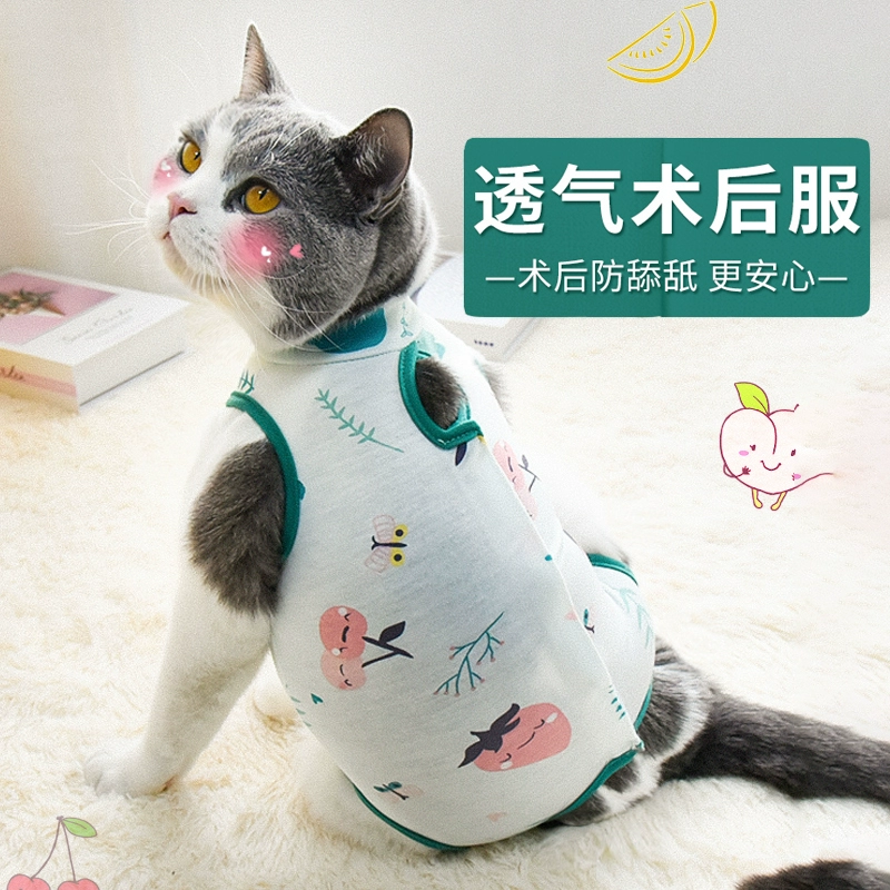 Одежда для стерилизации кошек Одежда для стерилизации