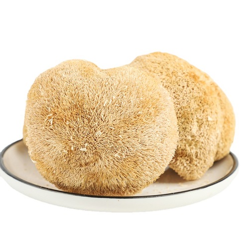 Wan Chuan Xian Edible Fungus Dry Goods - Gutian Specialty Hericium Edulis - Stomach-Nourishing Soup Material Fungus Manufacturer for Distribution and Wholesale