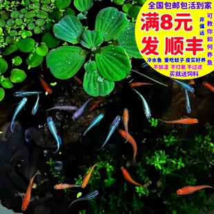 �^�����F�~����� ���F�~�ǹ��~�� ��������ˮ�~С���~�^�p�~