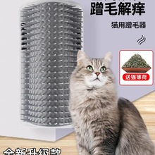 ؈Wǲëĥ؈ץ؈߳ëWƷ