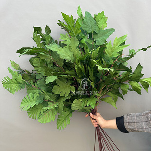 ɭϵYĻcbľGɫϵ~ӷ~bŘ~