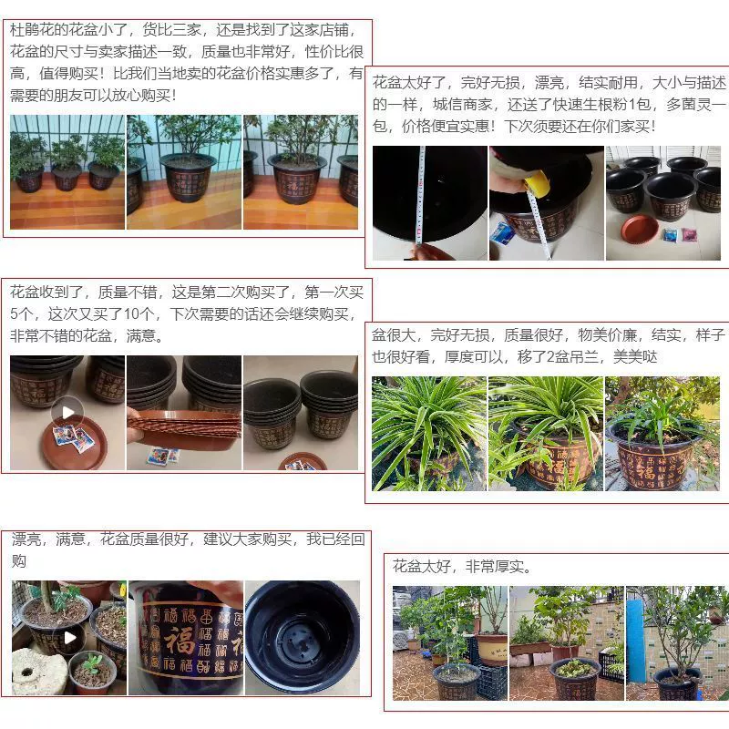Flowerpot, direct factory sales, increased thickness
