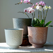 ��ڏ��߿�����m���ϻ��軨�����庆�s�p�ݸ߼�ֲ��������������