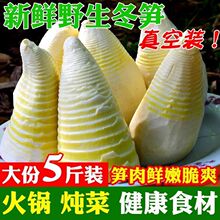福建新鲜冬笋竹笋野生春笋冬笋水煮清水笋火锅笋2025袋装5斤整箱